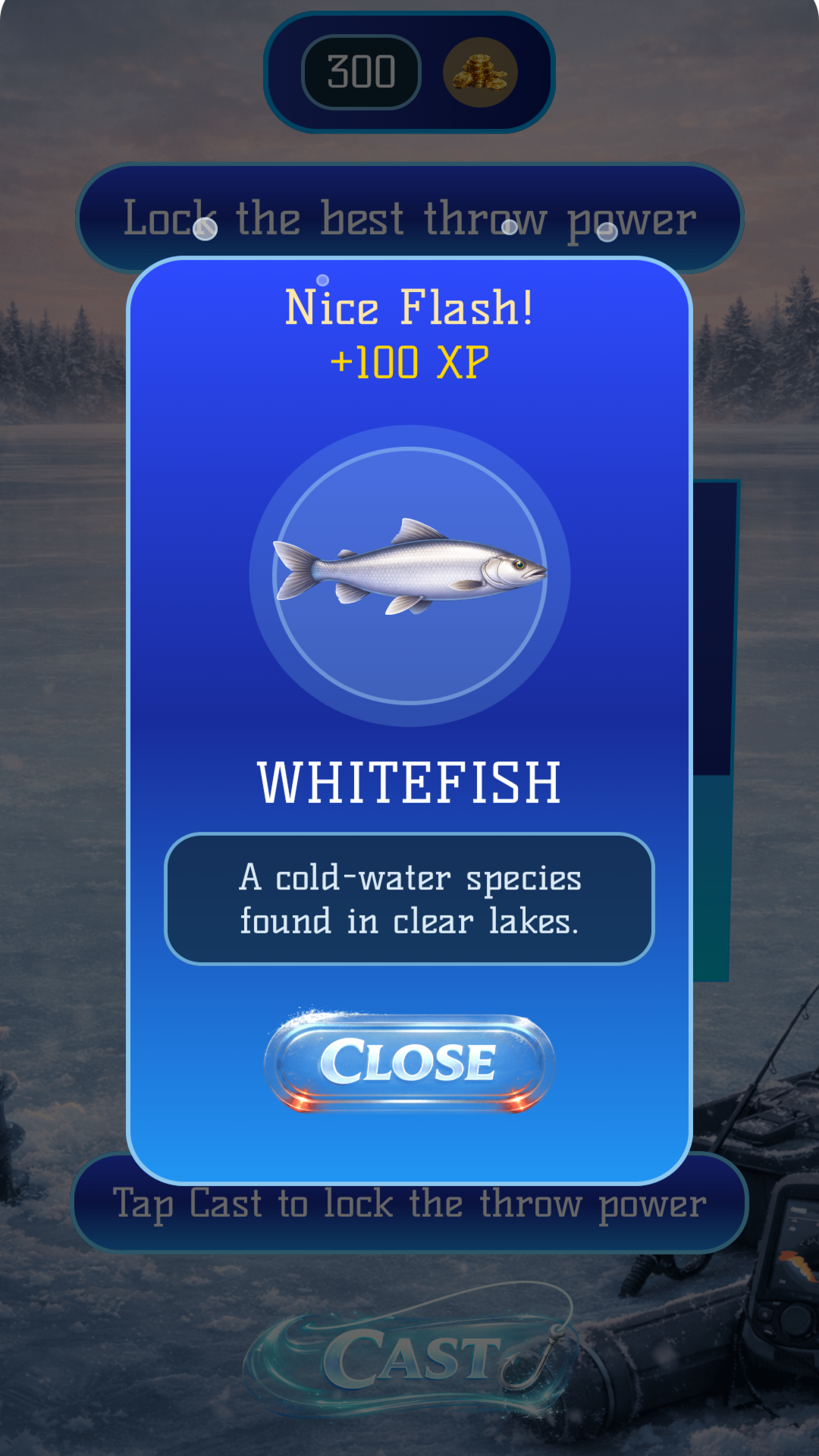 Whitefish